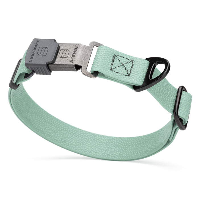 Pebble Grip Biothane dog collar with Herm Sprenger black Cliclock buckle, 1 inch wide, Sage Green 