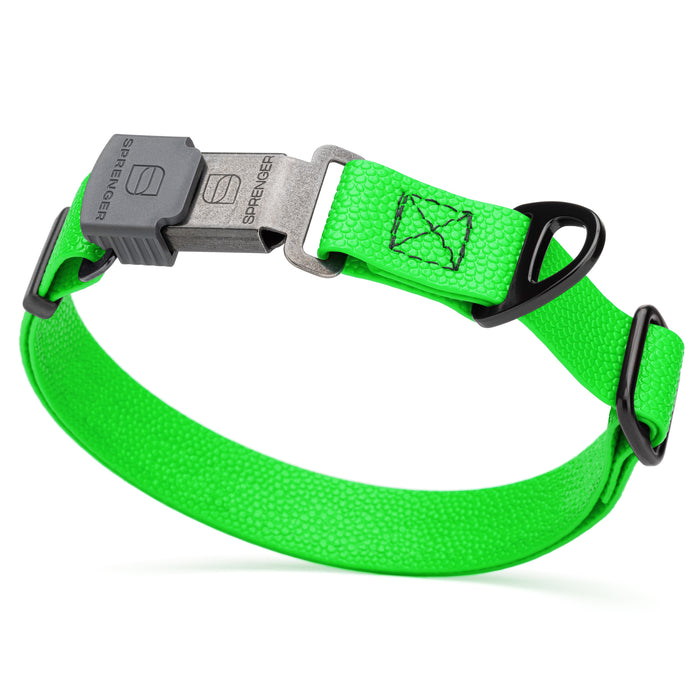 Pebble Grip Biothane dog collar with Herm Sprenger black Cliclock buckle, 1 inch wide, Tropical Green