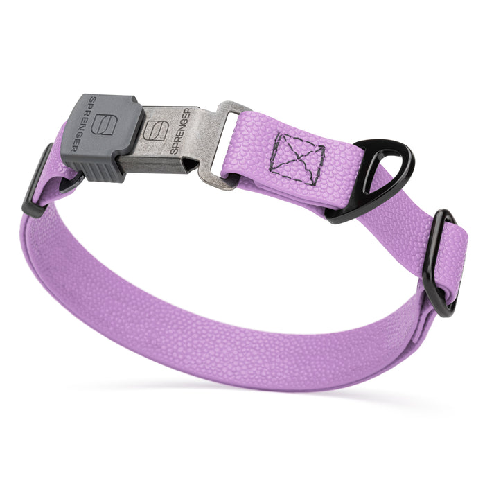 Pebble Grip Biothane dog collar with Herm Sprenger black Cliclock buckle, 1 inch wide, Amethyst Purple 