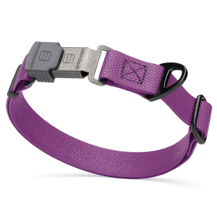 Pebble Grip Biothane dog collar with Herm Sprenger black Cliclock buckle, 1 inch wide, Grape Purple