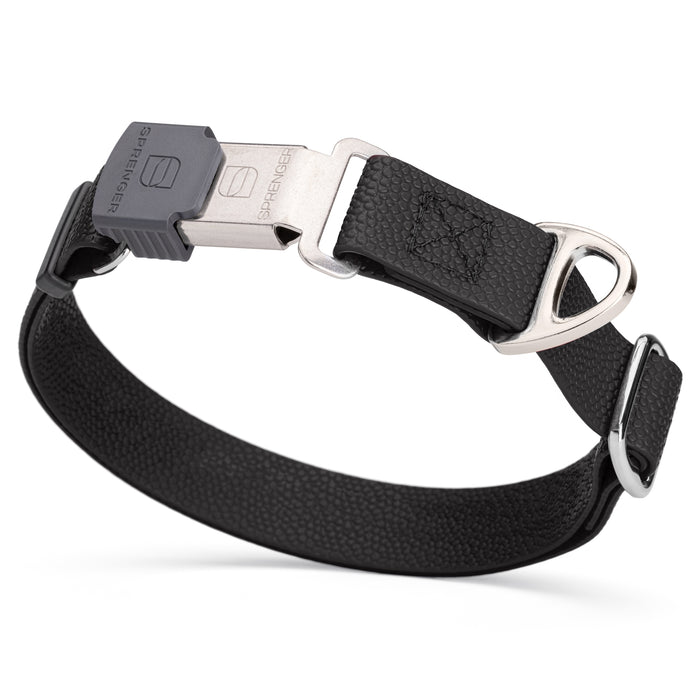 Black Biothane dog collar with pebble embossed coating and stainless steel Herm Sprenger buckle, 1 inch wide, adjustable