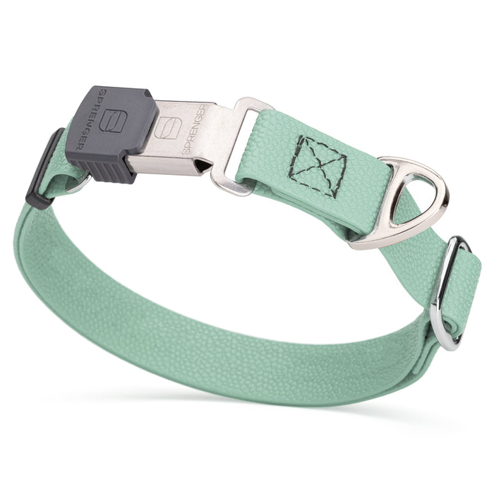 Sage Green Biothane dog collar with pebble embossed coating and stainless steel Herm Sprenger buckle, 1 inch wide, adjustable