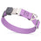 Amethyst Purple Biothane dog collar with pebble embossed coating and stainless steel Herm Sprenger buckle, 1 inch wide, adjustable