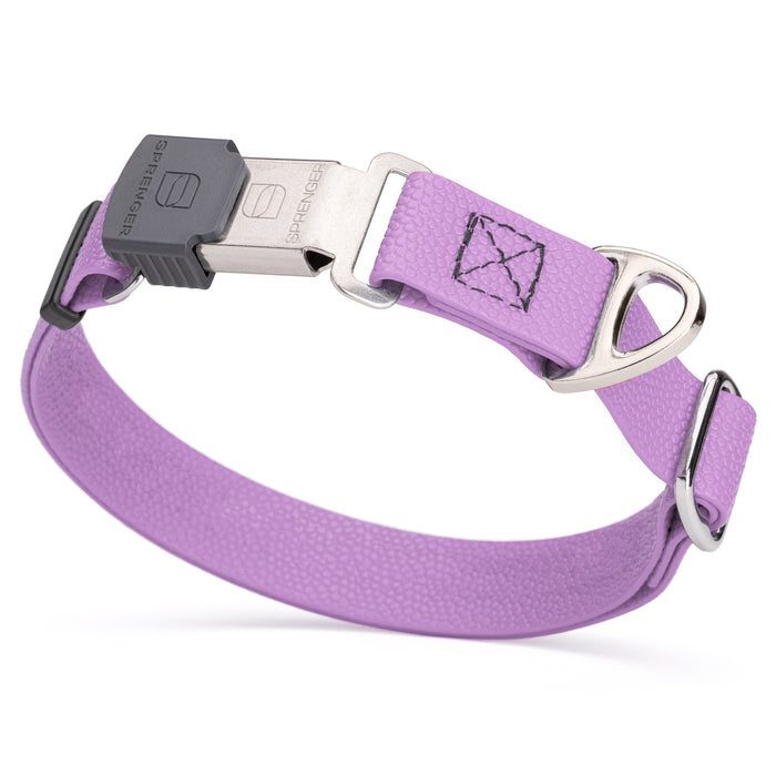 Amethyst Purple Biothane dog collar with pebble embossed coating and stainless steel Herm Sprenger buckle, 1 inch wide, adjustable