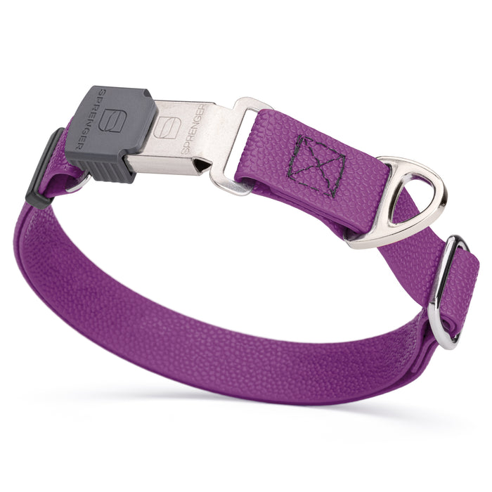 Grape Purple Biothane dog collar with pebble embossed coating and stainless steel Herm Sprenger buckle, 1 inch wide, adjustable