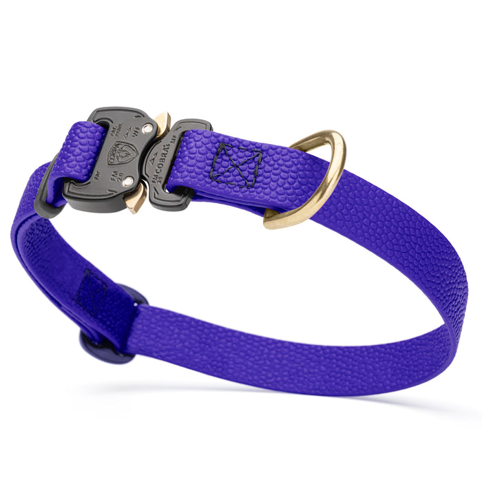Cobra buckle dog collar with brass D-ring, made from pebbled Biothane, 3/4 inch wide, adjustable, Blueberry
