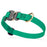 Cobra buckle dog collar with brass D-ring, made from pebbled Biothane, 3/4 inch wide, adjustable, Teal