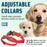Dogline Pebble Emboss BioThane Dog Collar with Heavy Duty Cobra Buckle
