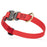 Cobra buckle dog collar with brass D-ring, made from pebbled Biothane, 3/4 inch wide, adjustable, Cherry Red 