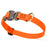 Cobra buckle dog collar with brass D-ring, made from pebbled Biothane, 3/4 inch wide, adjustable, Hunter Orange