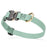 Cobra buckle dog collar with brass D-ring, made from pebbled Biothane, 3/4 inch wide, adjustable, Sage Green