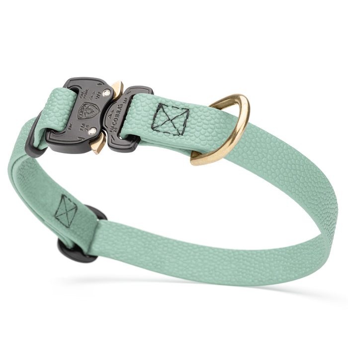Cobra buckle dog collar with brass D-ring, made from pebbled Biothane, 3/4 inch wide, adjustable, Sage Green