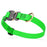 Cobra buckle dog collar with brass D-ring, made from pebbled Biothane, 3/4 inch wide, adjustable, Tropical Green
