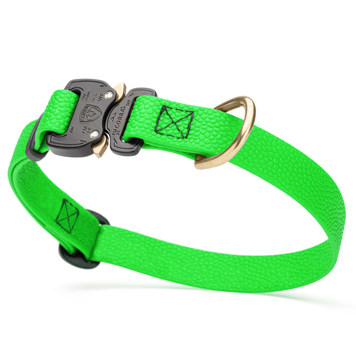 Cobra buckle dog collar with brass D-ring, made from pebbled Biothane, 3/4 inch wide, adjustable, Tropical Green