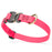 Cobra buckle dog collar with brass D-ring, made from pebbled Biothane, 3/4 inch wide, adjustable, Hot Pink