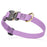 Cobra buckle dog collar with brass D-ring, made from pebbled Biothane, 3/4 inch wide, adjustable, Amethyst Purple