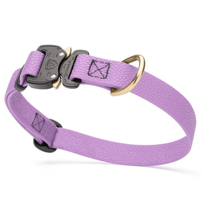 Cobra buckle dog collar with brass D-ring, made from pebbled Biothane, 3/4 inch wide, adjustable, Amethyst Purple