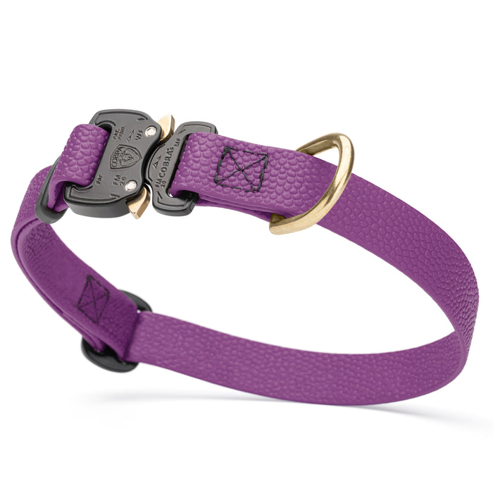 Cobra buckle dog collar with brass D-ring, made from pebbled Biothane, 3/4 inch wide, adjustable, Grape Purple
