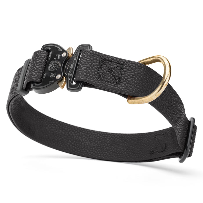 Black Biothane dog collar with pebbled coating, Cobra buckle, and brass D-ring, 1 inch wide, adjustable