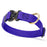 Blueberry Biothane dog collar with pebbled coating, Cobra buckle, and brass D-ring, 1 inch wide, adjustable