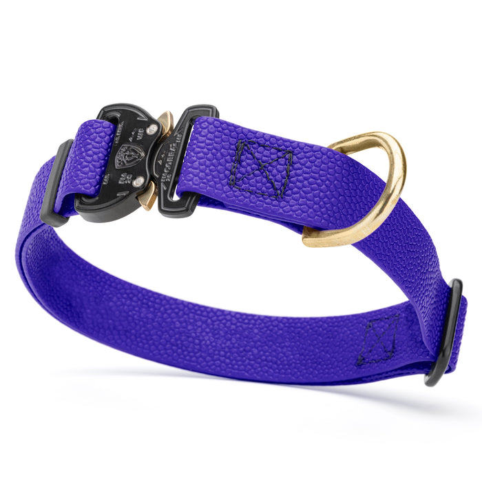 Blueberry Biothane dog collar with pebbled coating, Cobra buckle, and brass D-ring, 1 inch wide, adjustable