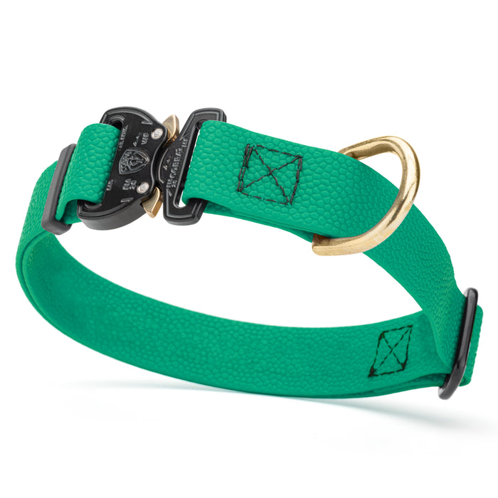 Teal Biothane dog collar with pebbled coating, Cobra buckle, and brass D-ring, 1 inch wide, adjustable