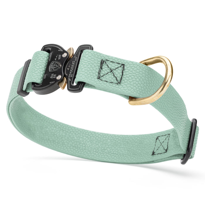 Sage Green Biothane dog collar with pebbled coating, Cobra buckle, and brass D-ring, 1 inch wide, adjustable