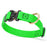 Tropical Green Biothane dog collar with pebbled coating, Cobra buckle, and brass D-ring, 1 inch wide, adjustable