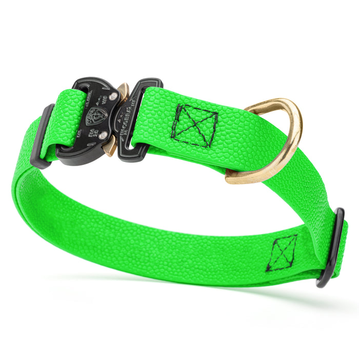 Tropical Green Biothane dog collar with pebbled coating, Cobra buckle, and brass D-ring, 1 inch wide, adjustable