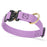 Amethyst Purple Biothane dog collar with pebbled coating, Cobra buckle, and brass D-ring, 1 inch wide, adjustable