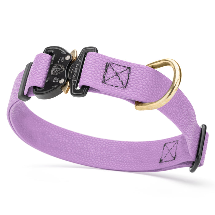 Amethyst Purple Biothane dog collar with pebbled coating, Cobra buckle, and brass D-ring, 1 inch wide, adjustable