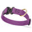 Grape Purple Biothane dog collar with pebbled coating, Cobra buckle, and brass D-ring, 1 inch wide, adjustable
