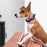 Dogline Pebble Emboss Biothane Dog Collar with Magnetic Buckle