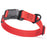 Cherry Red Biothane dog collar with textured coating, magnetic buckle and metal D-ring, 1 inch wide