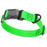 Tropical Green Biothane dog collar with textured coating, magnetic buckle and metal D-ring, 1 inch wide