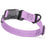Amethyst Purple Biothane dog collar with textured coating, magnetic buckle and metal D-ring, 1 inch wide