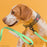 Biothane Dog Leash with Black Scissor Snap