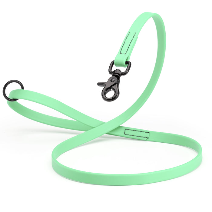 Seafoam Green Biothane dog leash with black scissor snap and O-ring, 5/8 inch wide