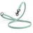Sage Green Biothane dog leash with black scissor snap and O-ring, 5/8 inch wide