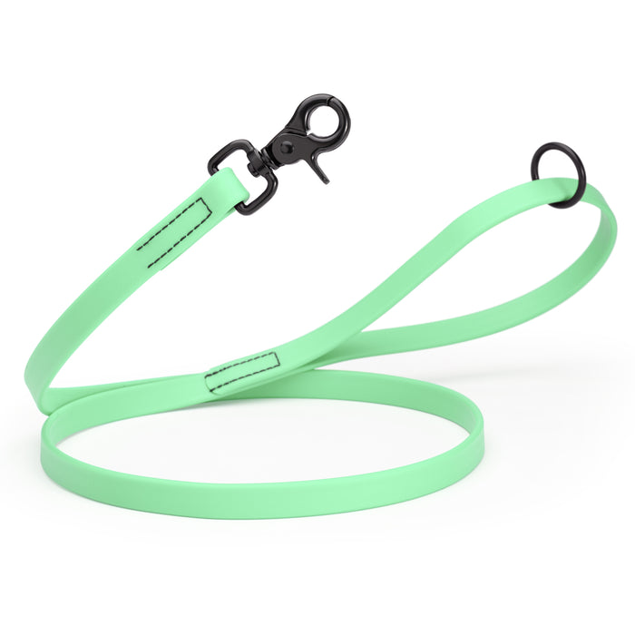 Seafoam Green dog leash with black clasp and O-ring, made from waterproof Biothane, 3/4 inch wide