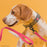 Long Line Biothane Dog Lead with Black Scissor Snap
