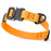 Dogline BioThane Dog Collar with Stab-Lock Quick Release Buckle