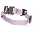Dogline BioThane Dog Collar with Stab-Lock Quick Release Buckle