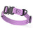 Dogline BioThane Dog Collar with Stab-Lock Quick Release Buckle