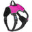 Co-Pilot Adjustable No Pull Dog Harness with Handle