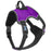 Purple no pull dog harness with adjustable straps, top handle, reflective trim and quick release buckle
