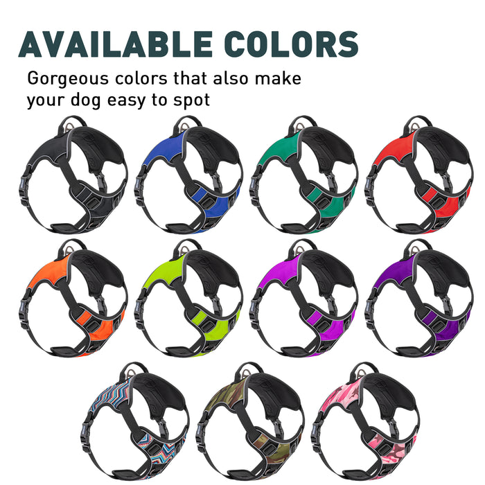 Nylon dog harnesses are available in 11 colors