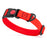 Red waterproof dog collar with plastic safety lock buckle and metal D-ring, adjustable