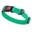 Teal waterproof dog collar with plastic safety lock buckle and metal D-ring, adjustable