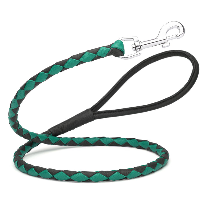 Black and teal leather dog leash with metal clip, 3/8 inch wide, braided design